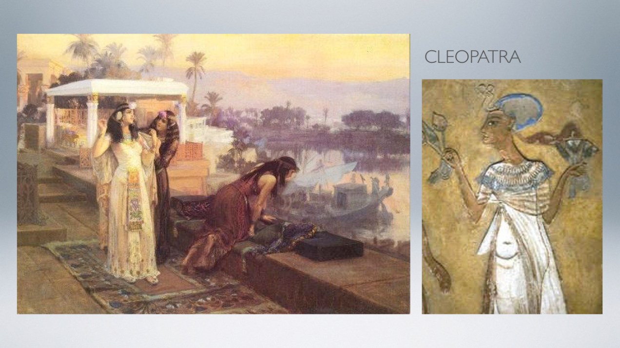 proj cleopatra.002