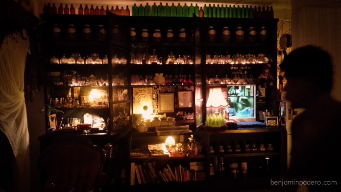 van gogh is bipolar-1