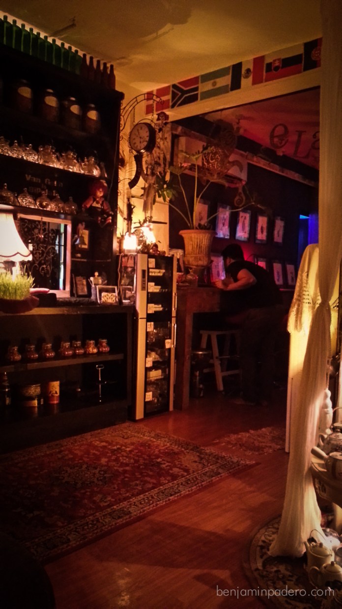 van gogh is bipolar-17