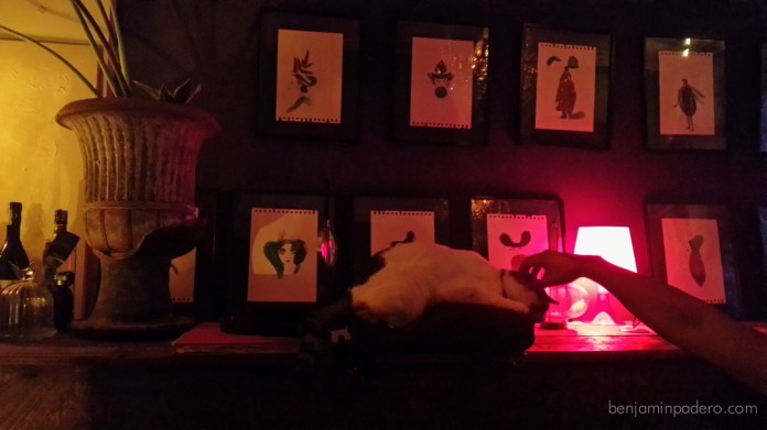 van gogh is bipolar-19