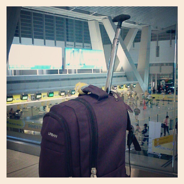 386894_10151031224397912_244893673_n