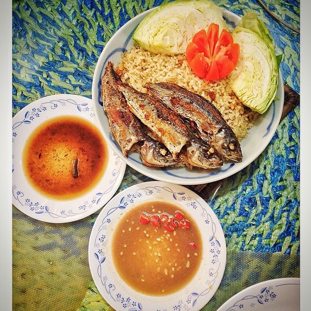 11038120_10206325398996351_2671286799490756092_n