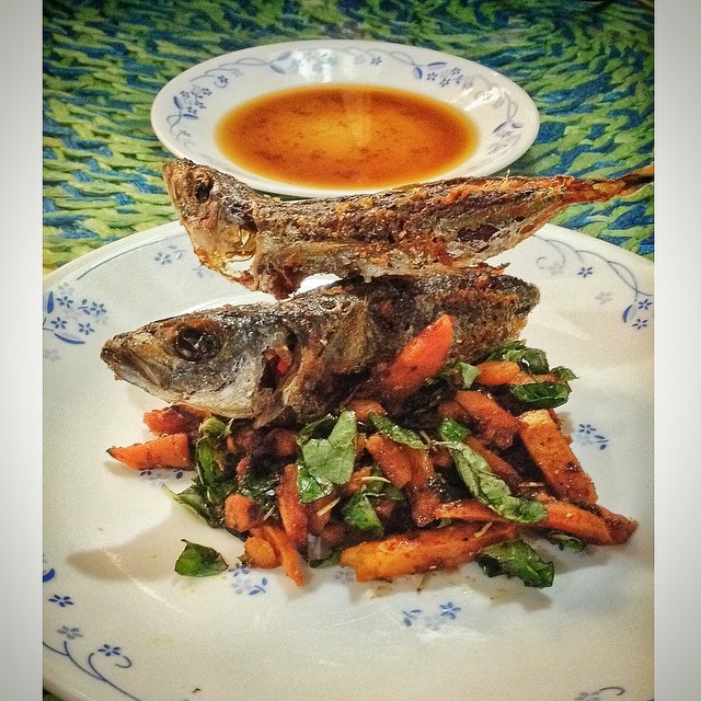 1610885_10206303893858736_5202574785055215562_n