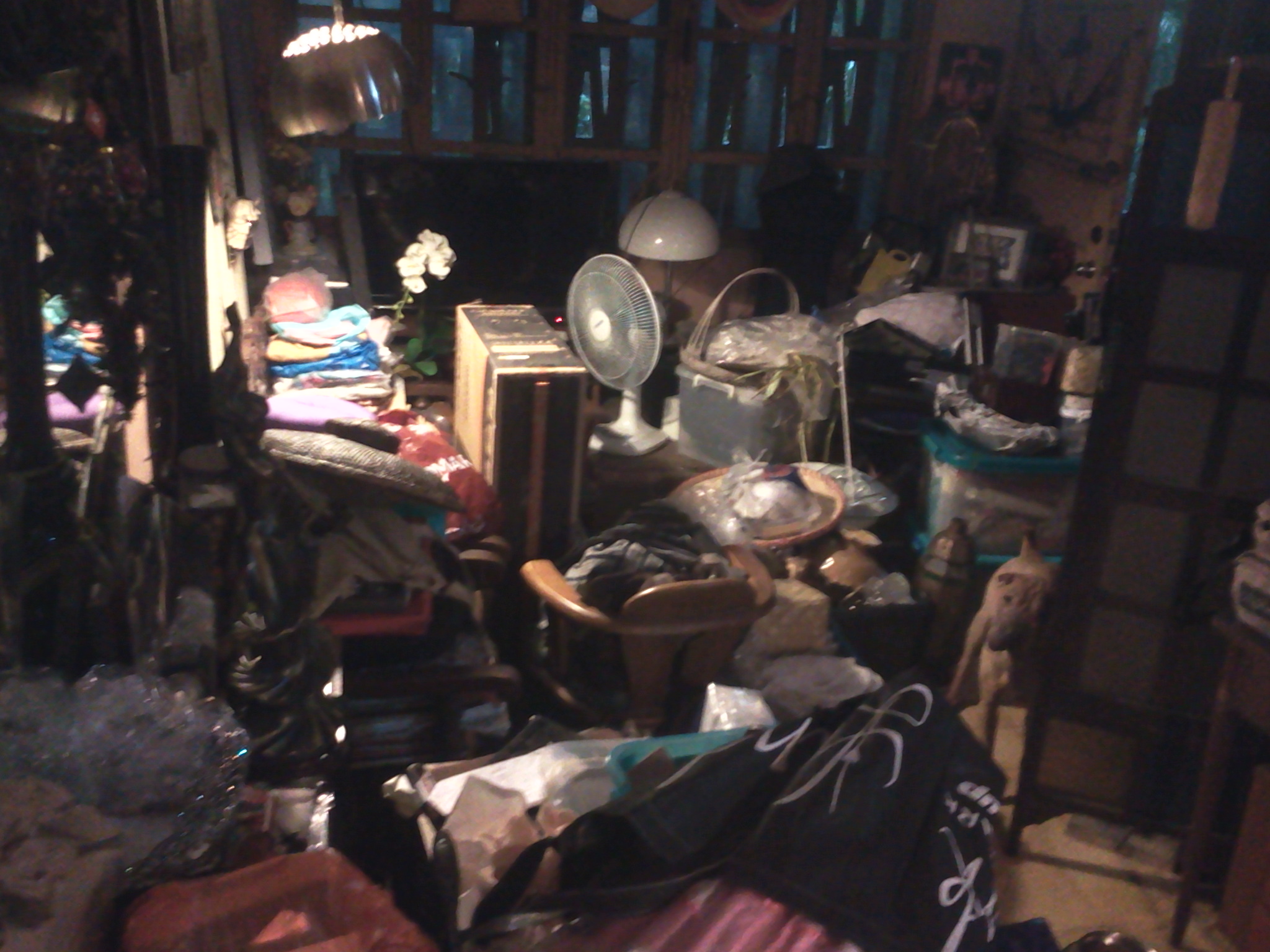 find the missing dog caption