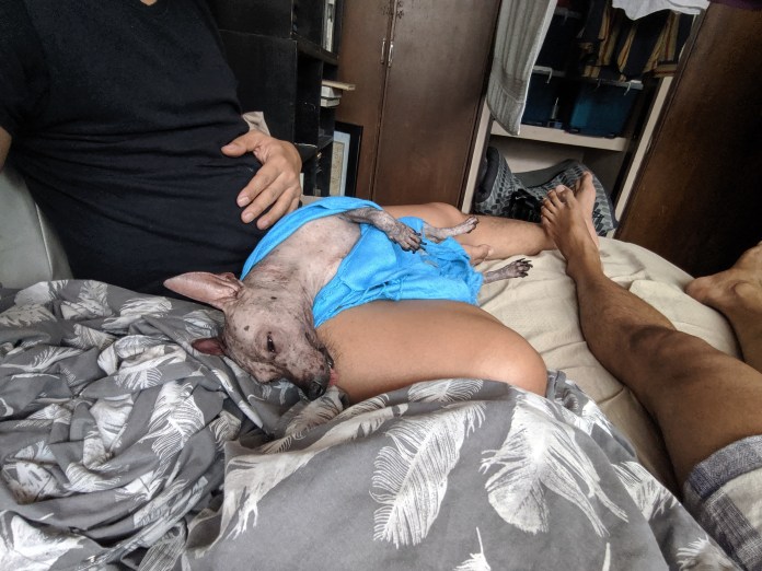 00000img_00000_burst20190529085934621_cover